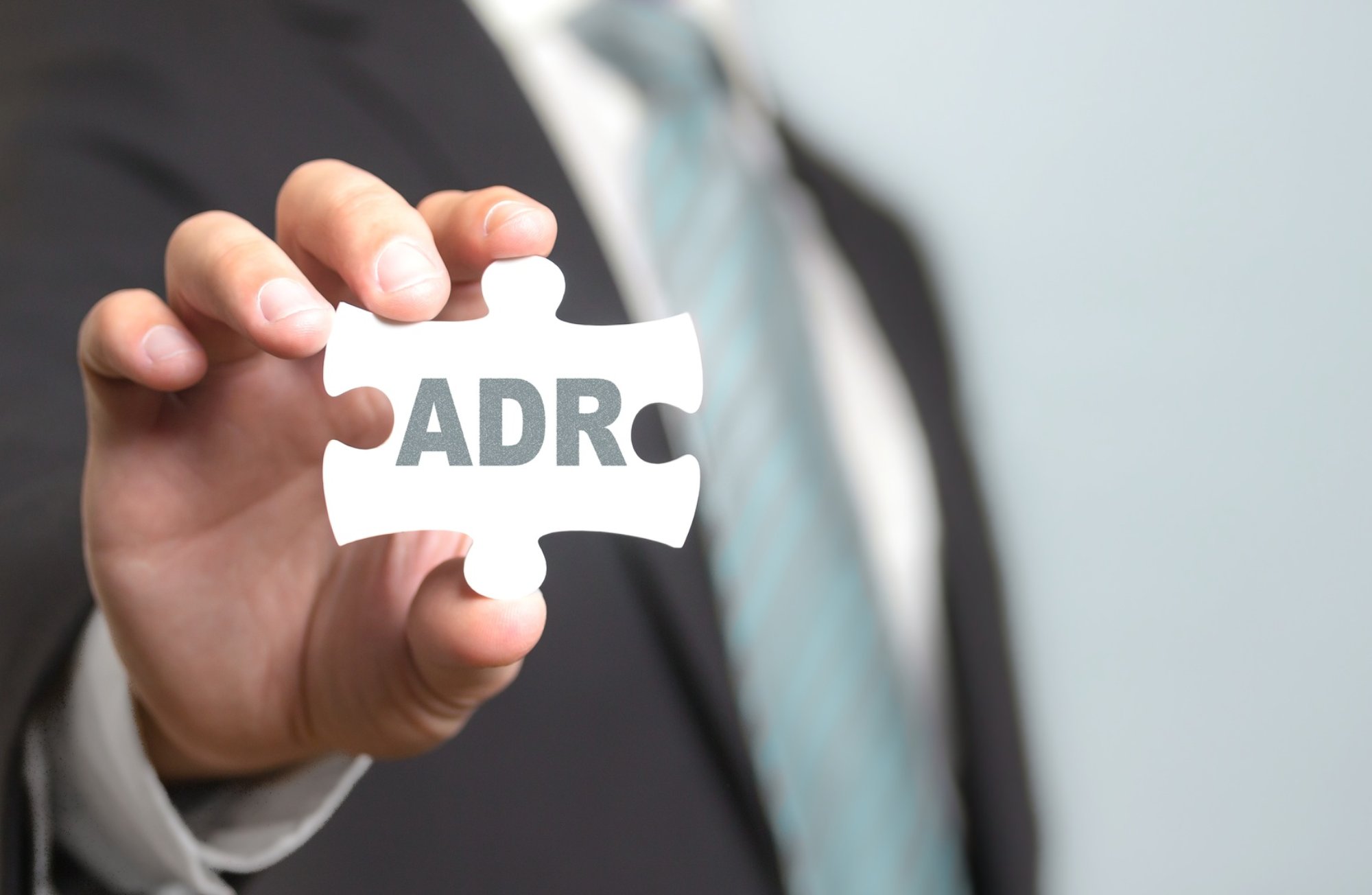 nomina consulente adr nomina consulente adr